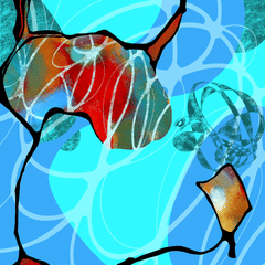 DG image