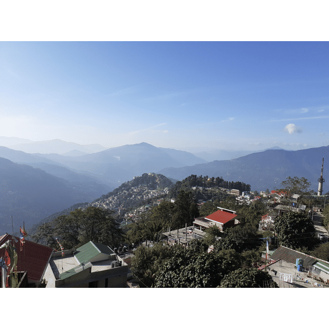DG image