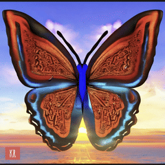 DG image